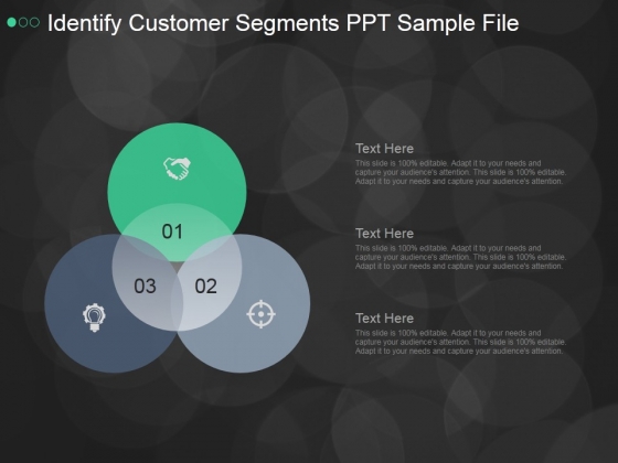 Identify Customer Segments Ppt PowerPoint Presentation Ideas