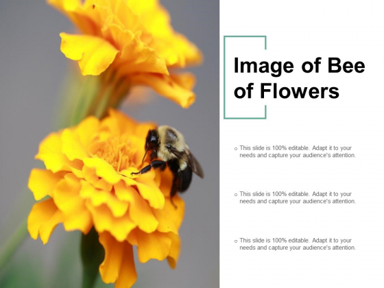 Image Of Bee Of Flowers Ppt PowerPoint Presentation Outline Visuals Image Of Bee Of Flowers Ppt PowerPoint Presentation Outline Visuals