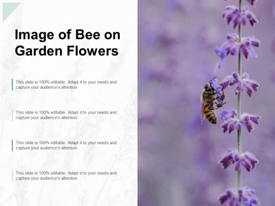 Image Of Bee On Garden Flowers Ppt PowerPoint Presentation Pictures Example File