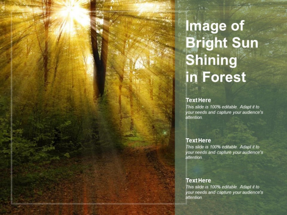 Image Of Bright Sun Shining In Forest Ppt PowerPoint Presentation Slides Layout