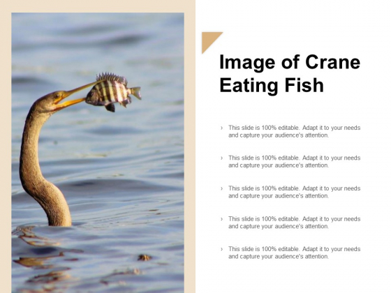Image Of Crane Eating Fish Ppt Powerpoint Presentation Visual Aids Files Image Of Crane Eating Fish Ppt Powerpoint Presentation Visual Aids Files