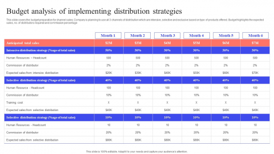 Implementing Effective Distribution Budget Analysis Of Implementing Distribution Demonstration PDF