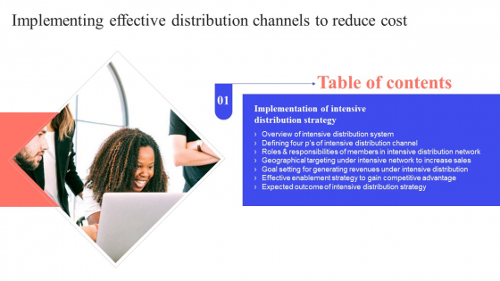 Implementing Effective Distribution Channels To Reduce Cost Table Of Contents Guidelines PDF