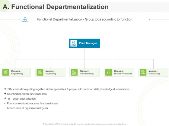 Implementing Human Resources HR Best Practices Strategy A Functional Departmentalization Ppt Infographics Skills PDF Implementing Human Resources HR Best Practices Strategy A Functional Departmentalization Ppt Infographics Skills PDF