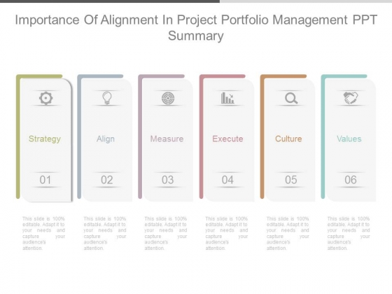Importance Of Alignment In Project Portfolio Management Ppt Summary