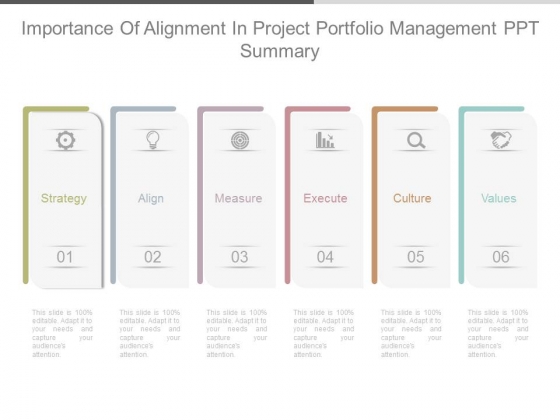 Importance Of Alignment In Project Portfolio Management Ppt Summary Importance Of Alignment In Project Portfolio Management Ppt Summary