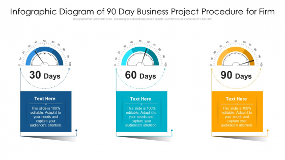 Infographic Diagram Of 90 Day Business Project Procedure For Firm Ppt PowerPoint Presentation Gallery Inspiration PDF