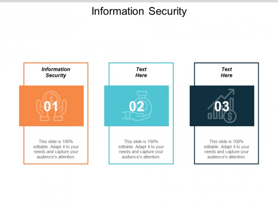 Information Security Ppt PowerPoint Presentation Icon Show Cpb