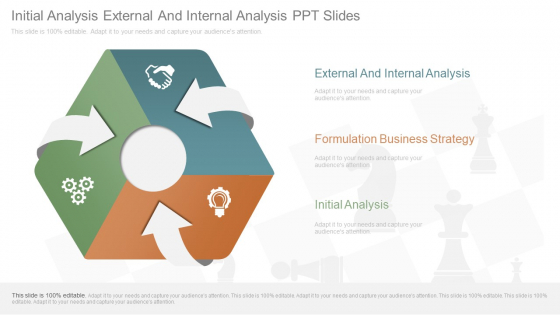 Initial Analysis External And Internal Analysis Ppt Slides