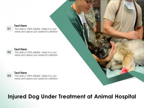 Injured Dog Under Treatment At Animal Hospital Ppt PowerPoint Presentation Infographics Skills PDF Injured Dog Under Treatment At Animal Hospital Ppt PowerPoint Presentation Infographics Skills PDF