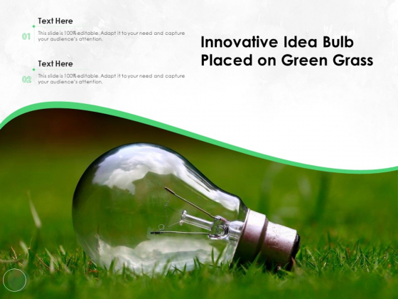 Innovative Idea Bulb Placed On Green Grass Ppt PowerPoint Presentation File Shapes PDF
