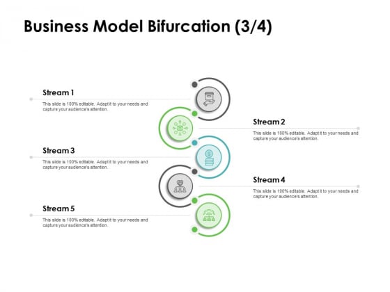 Instruction Manuals Business Model Bifurcation Stream Five Ppt Show Styles PDF