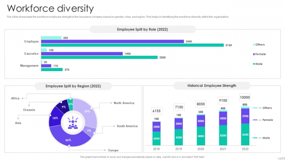 Insurance Services Firm Profile Workforce Diversity Themes PDF