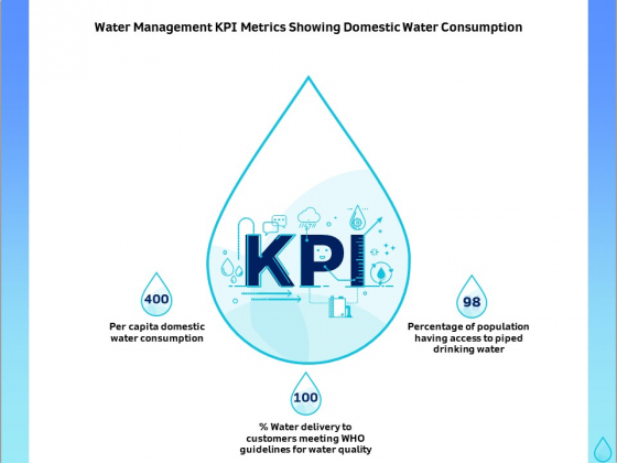 Integrated Water Resource Management Water Management KPI Metrics Showing Domestic Water Consumption Professional PDF