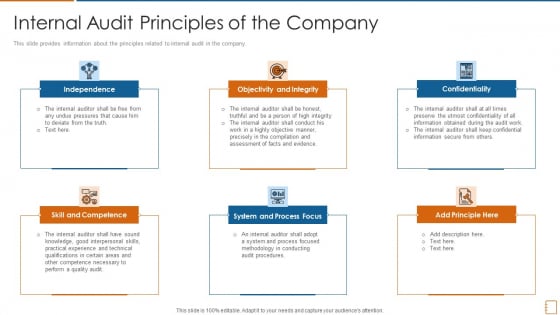 Internal Audit Principles Of The Company Ppt Summary Guidelines PDF