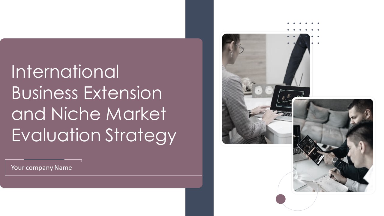 International Business Extension And Niche Market Evaluation Strategy Ppt PowerPoint Presentation Complete Deck With Slides