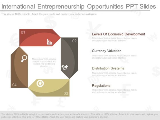 International Entrepreneurship Opportunities Ppt Slides