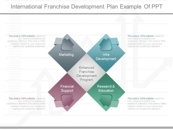 International Franchise Development Plan Example Of Ppt