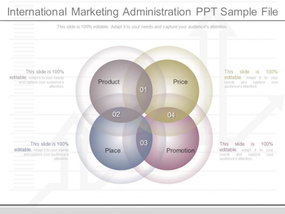 International Marketing Administration Ppt Sample File International Marketing Administration Ppt Sample File