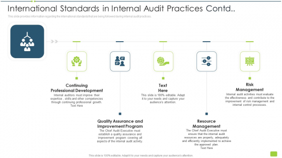 International Standards In Internal Audit Practices Contd Ppt Icon File Formats PDF