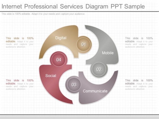 Internet Professional Services Diagram Ppt Sample