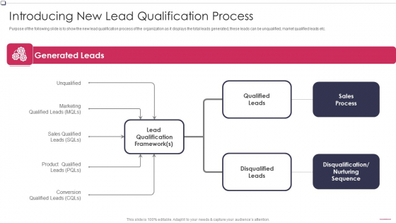 Introducing New Lead Qualification Process Business To Business Promotion Sales Lead Themes PDF Introducing New Lead Qualification Process Business To Business Promotion Sales Lead Themes PDF