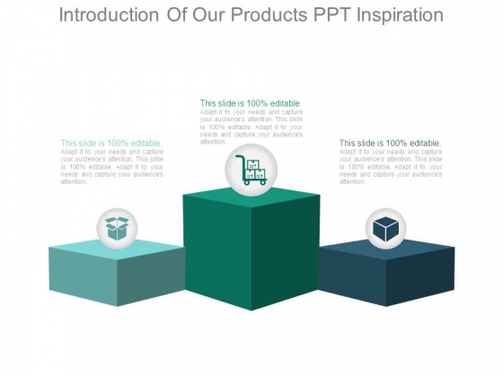 Introduction Of Our Products Ppt Inspiration