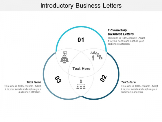 Introductory Business Letters Ppt PowerPoint Presentation Styles Gallery