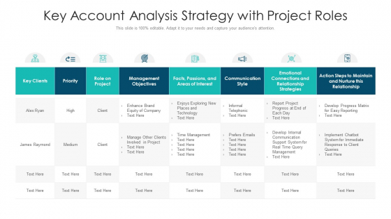 Key Account Analysis Strategy With Project Roles Ppt PowerPoint Presentation Icon Deck PDF