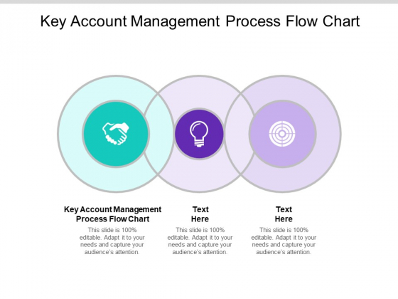 Key Account Management Process Flow Chart Ppt PowerPoint Presentation File Infographic Template Cpb