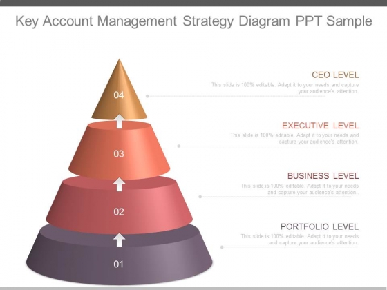 Key Account Management Strategy Diagram Ppt Sample