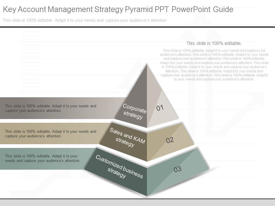 Key Account Management Strategy Pyramid Ppt Powerpoint Guide