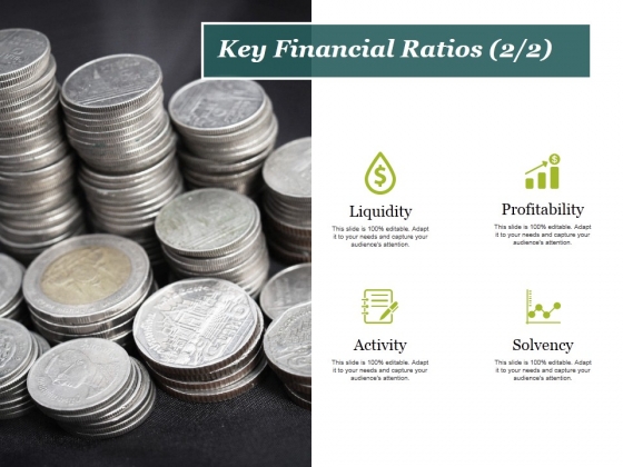 Key Financial Ratios Template 2 Ppt PowerPoint Presentation Slides Ideas Key Financial Ratios Template 2 Ppt PowerPoint Presentation Slides Ideas