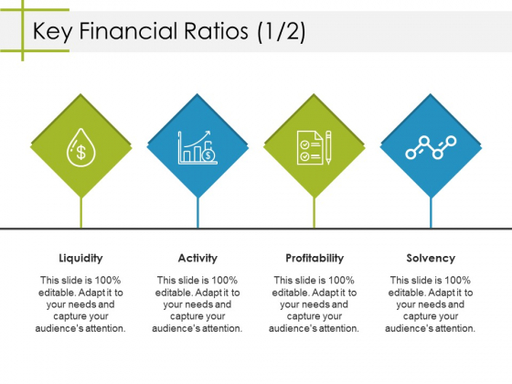 Key Financial Ratios Template 2 Ppt PowerPoint Presentation Summary Samples Key Financial Ratios Template 2 Ppt PowerPoint Presentation Summary Samples
