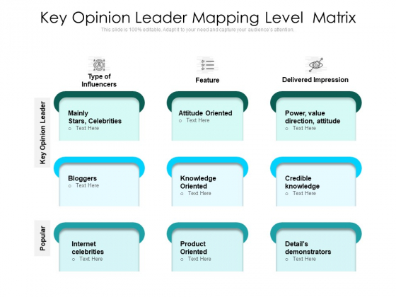 Key Opinion Leader Mapping Level Matrix Ppt PowerPoint Presentation Gallery Show PDF