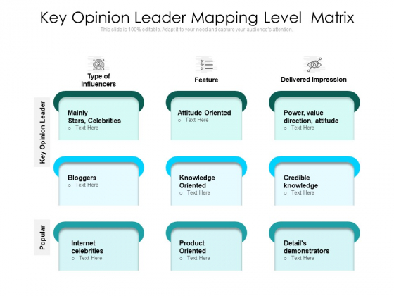 Key Opinion Leader Mapping Level Matrix Ppt PowerPoint Presentation Gallery Show PDF Key Opinion Leader Mapping Level Matrix Ppt PowerPoint Presentation Gallery Show PDF