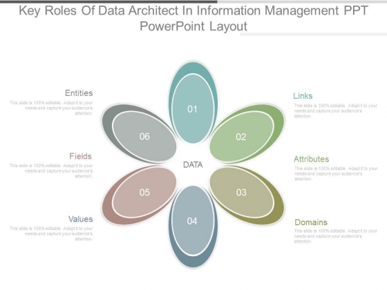 Key Roles Of Data Architect In Information Management Ppt Powerpoint Layout