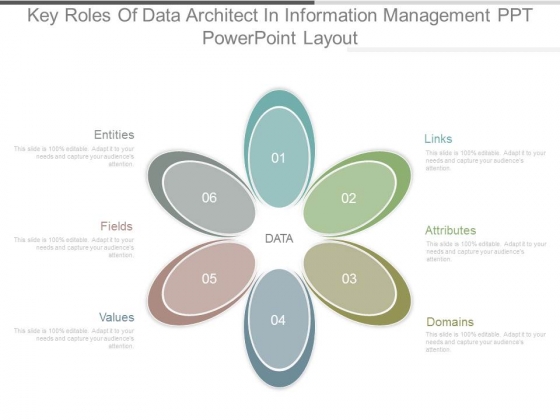 Key Roles Of Data Architect In Information Management Ppt Powerpoint Layout Key Roles Of Data Architect In Information Management Ppt Powerpoint Layout