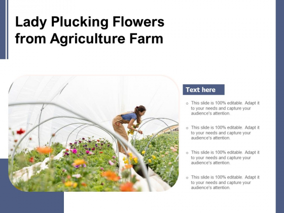 Lady Plucking Flowers From Agriculture Farm Ppt PowerPoint Presentation Diagram Graph Charts PDF Lady Plucking Flowers From Agriculture Farm Ppt PowerPoint Presentation Diagram Graph Charts PDF