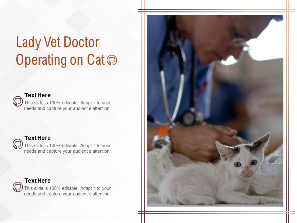 Lady Vet Doctor Operating On Cat Ppt PowerPoint Presentation Infographics  Designs Download PDF - PowerPoint Templates