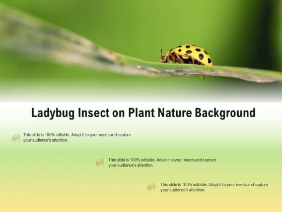 Ladybug Insect On Plant Nature Background Ppt PowerPoint Presentation Outline Images PDF Ladybug Insect On Plant Nature Background Ppt PowerPoint Presentation Outline Images PDF