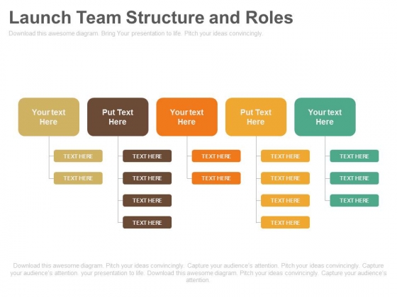 Launch Team Structure And Roles Business Ppt Slides Launch Team Structure And Roles Business Ppt Slides