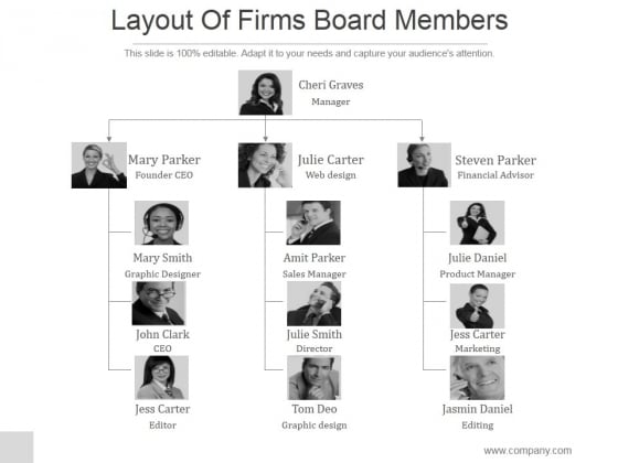 Layout Of Firms Board Members Ppt PowerPoint Presentation Professional