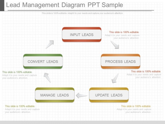 Lead Management Diagram Ppt Sample