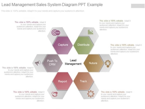 Lead Management Sales System Diagram Ppt Example Lead Management Sales System Diagram Ppt Example