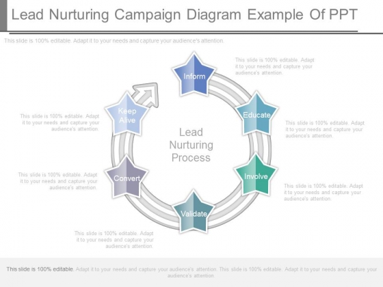 Lead Nurturing Campaign Diagram Example Of Ppt Lead Nurturing Campaign Diagram Example Of Ppt