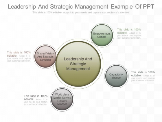 Leadership And Strategic Management Example Of Ppt Leadership And Strategic Management Example Of Ppt