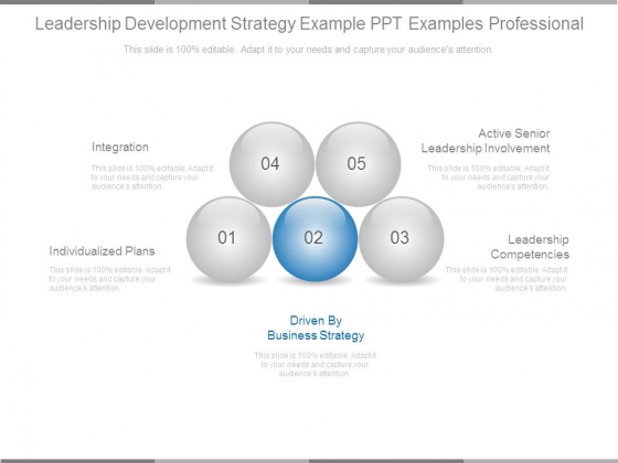 Leadership Development Strategy Example Ppt Examples Professional