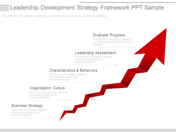 Leadership Development Strategy Framework Ppt Sample