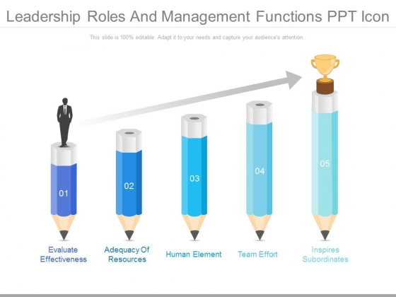 Leadership Roles And Management Functions Ppt Icon